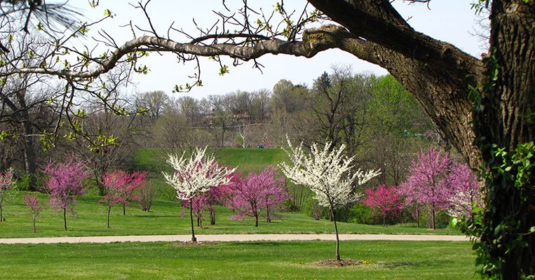 Stephens Lake Park